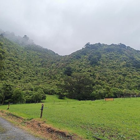 Gumboot Paradise Eco Stay Barrytown Ngoại thất bức ảnh