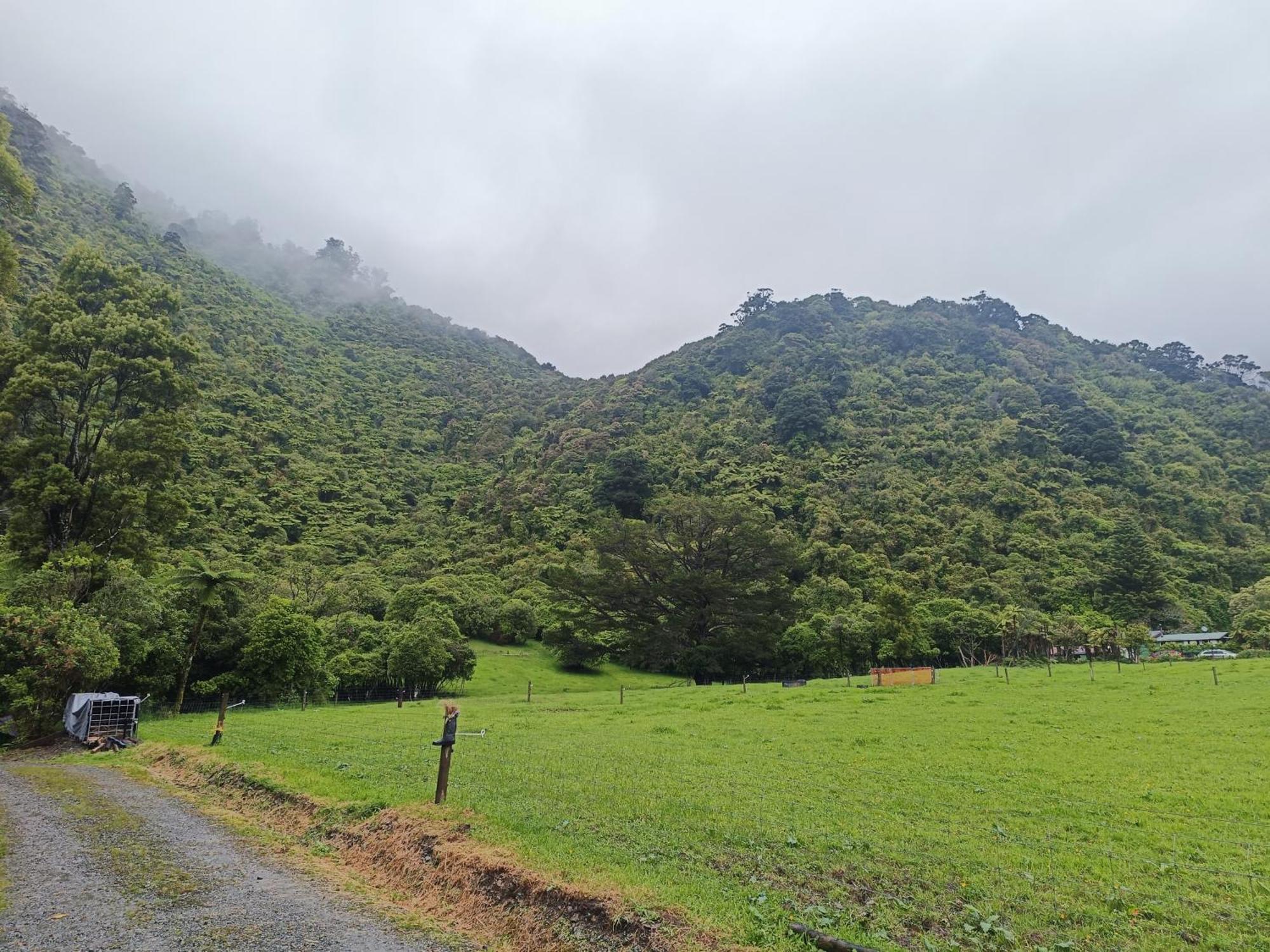 Gumboot Paradise Eco Stay Barrytown Ngoại thất bức ảnh